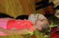 phoca_thumb_l_С‚СѓСЂРЅРёСЂ 121